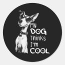 Search for satire stickers Maga