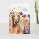 Search for afghans cards Pets