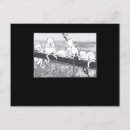Search for parody postcards Cats