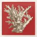 Search for sea shell coasters Coral