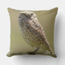 Search for barn owl cushions Animal