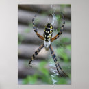 Search for web art Digital