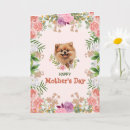 Search for dog grandma cards Mother