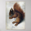Search for red squirrel Animal