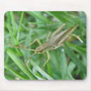 Search for grasshoppers mousepads Bugs