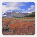 Search for huckleberry stickers Autumn