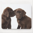 Search for small dogs mousepads Friendship