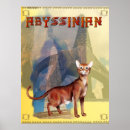 Search for abyssinian cat art Kitty