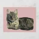 Search for domestic Pet