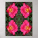 Search for rose petals art Pink