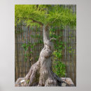 Search for tree bark art Green