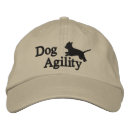 Search for agility hats Dog