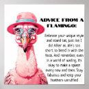 Search for flamingos posters Pink flamingo
