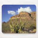 Search for jamie mousepads Rock