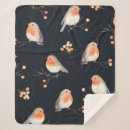 Search for robin bird blankets Autumn