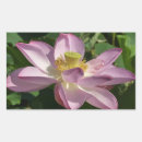 Search for pink floral flower stickers Photography