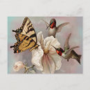 Search for garden birds postcards Pink