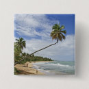 Search for sandy beach badges Wave