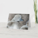 Search for folding reserved cards Cute baby animal
