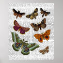 Search for moth posters Contemporary