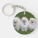 Search for spitz key rings Bob and pam langrish