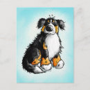 Search for berner sennenhund postcards Dog