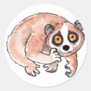 Search for cute lemur stickers Cartoon