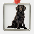 Search for flat coated retriever christmas tree decorations Dog