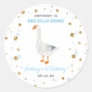 Search for silly boys stickers 1st birthday