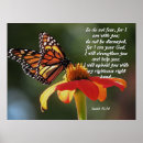 Search for monarch butterfly posters Wildlife