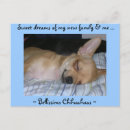 Search for funny business postcards Cute