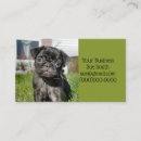 Search for pug business cards Cute
