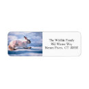 Search for rabbit return address labels Merry christmas
