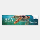 Search for sea animal bumper stickers Turtle