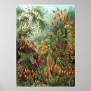 Search for lithography Nature