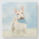 Search for scottish coasters Blue