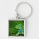 Search for green leaf key rings Outdoors