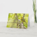Search for wilson cards Bird