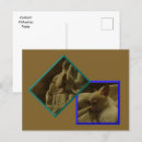 Search for chihuahua puppies postcards Chihuahuas