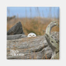 Search for bird watching magnets Birds of prey