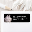 Search for wildlife animals return address labels Nature photography