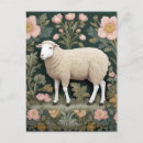 Search for white sheeps postcards Farm