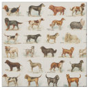 Search for dog fabric Dachshund