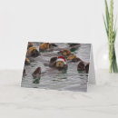 Search for sea otter christmas cards Ocean