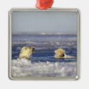 Search for global christmas tree decorations Baby