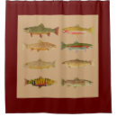 Search for trout shower curtains Salmon