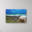 Search for turtle canvas prints Background