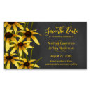 Search for perennials magnets Nature