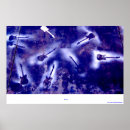 Search for string posters Fretboard