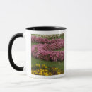 Search for schonbrunn mugs Europe